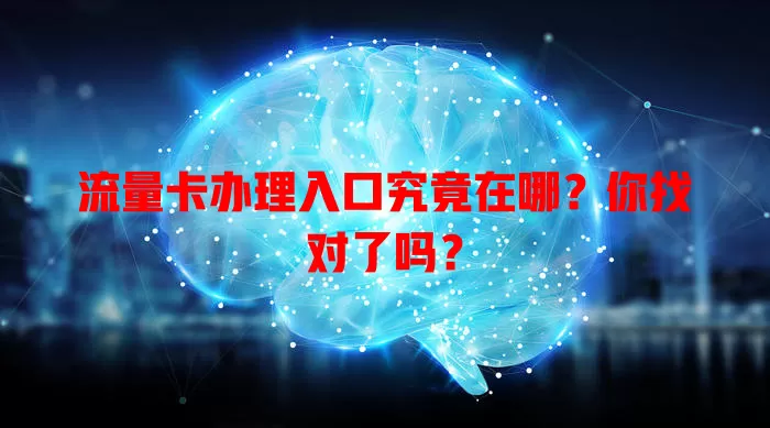 流量卡办理入口究竟在哪？你找对了吗？