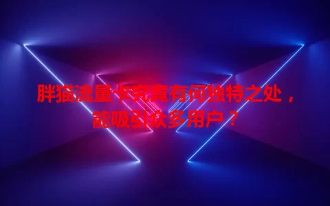 胖猫流量卡究竟有何独特之处，能吸引众多用户？