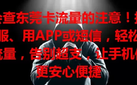 不会查东莞卡流量的注意！拨打客服、用APP或短信，轻松掌握流量，告别超支，让手机使用更安心便捷