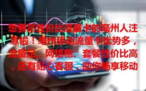 想要高性价比流量卡的亳州人注意啦！亳州移动流量卡优势多，流量足、网络稳、套餐性价比高，还有贴心客服，助你畅享移动互联网便利！