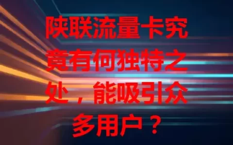 陕联流量卡究竟有何独特之处，能吸引众多用户？
