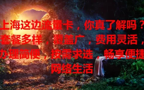 上海这边流量卡，你真了解吗？套餐多样，覆盖广，费用灵活，办理简便，按需求选，畅享便捷网络生活