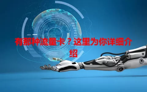 有那种流量卡？这里为你详细介绍