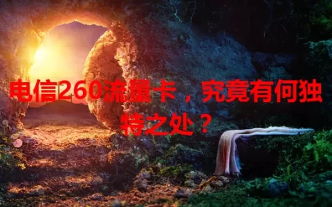 电信260流量卡，究竟有何独特之处？