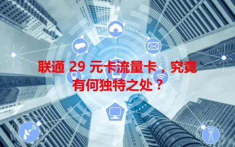 联通 29 元卡流量卡，究竟有何独特之处？