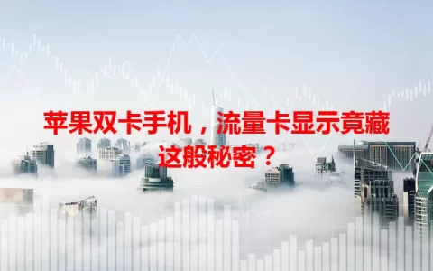 苹果双卡手机，流量卡显示竟藏这般秘密？