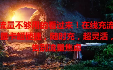 流量不够用的看过来！在线充流量卡超便捷，随时充，超灵活，告别流量焦虑