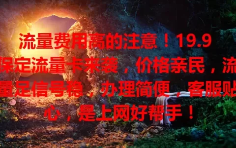 流量费用高的注意！19.9 保定流量卡来袭，价格亲民，流量足信号稳，办理简便，客服贴心，是上网好帮手！
