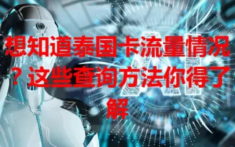 想知道泰国卡流量情况？这些查询方法你得了解