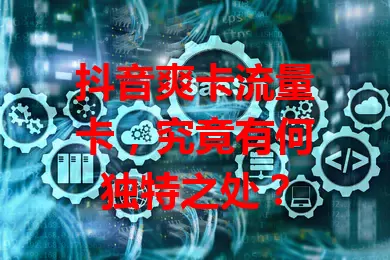 抖音爽卡流量卡,究竟有何独特之处?