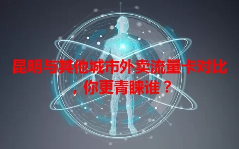 昆明与其他城市外卖流量卡对比，你更青睐谁？