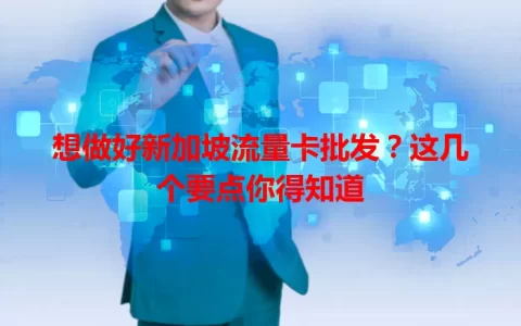 想做好新加坡流量卡批发？这几个要点你得知道