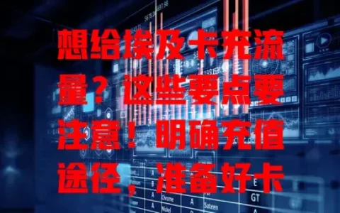 想给埃及卡充流量？这些要点要注意！明确充值途径，准备好卡号密码，选合适套餐，留意充值流程及细节，掌握方法就能轻松充流量，畅享数字化便利