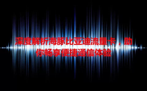 深度解析海豚比亚迪流量卡，助你畅享便捷通信体验