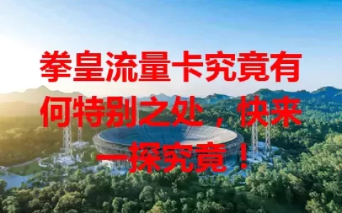 拳皇流量卡究竟有何特别之处，快来一探究竟！