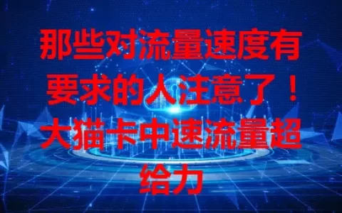 那些对流量速度有要求的人注意了！大猫卡中速流量超给力