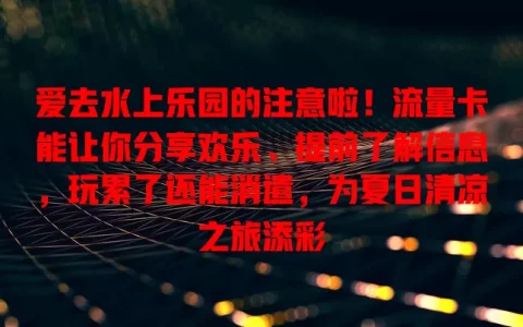 爱去水上乐园的注意啦！流量卡能让你分享欢乐、提前了解信息，玩累了还能消遣，为夏日清凉之旅添彩