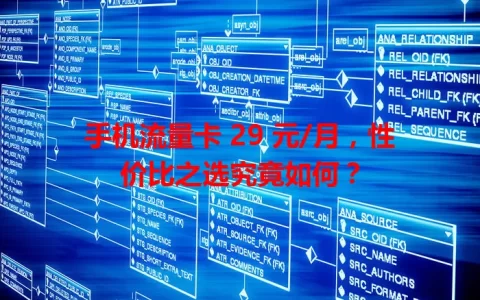 手机流量卡 29 元/月，性价比之选究竟如何？