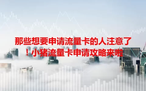 那些想要申请流量卡的人注意了！小猪流量卡申请攻略来啦