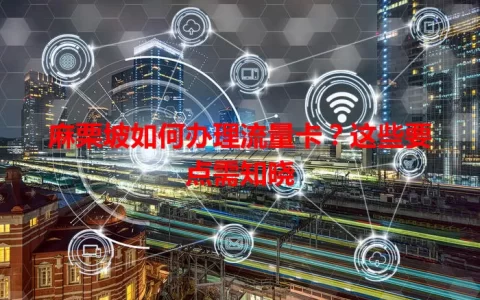 麻栗坡如何办理流量卡？这些要点需知晓