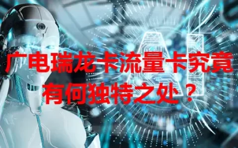广电瑞龙卡流量卡究竟有何独特之处？