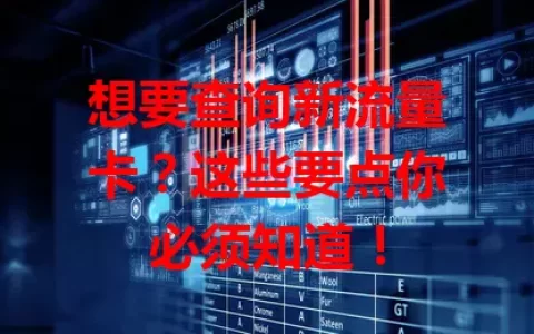 想要查询新流量卡？这些要点你必须知道！