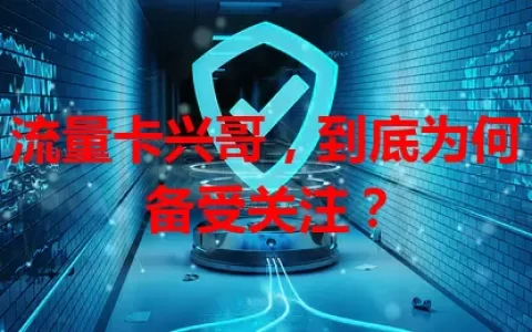 流量卡兴哥，到底为何备受关注？