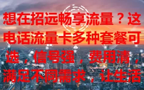 想在招远畅享流量？这电话流量卡多种套餐可选，信号强，费用清，满足不同需求，让生活工作更顺畅！