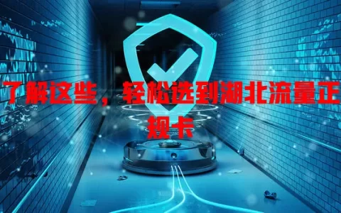 了解这些，轻松选到湖北流量正规卡