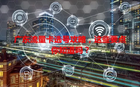 广东流量卡选号攻略，这些要点你知道吗？