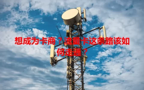 想成为卡商？流量卡这条路该如何走通？