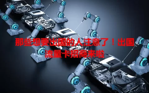 那些想要出国的人注意了！出国流量卡招商来啦