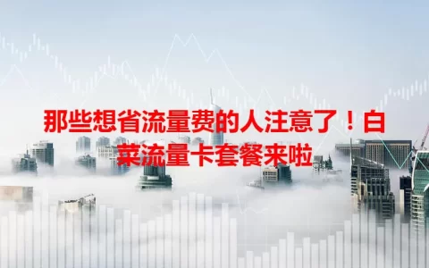 那些想省流量费的人注意了！白菜流量卡套餐来啦
