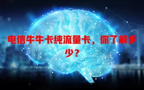 电信牛牛卡纯流量卡，你了解多少？