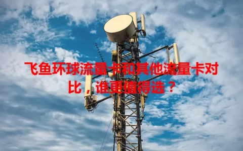 飞鱼环球流量卡和其他流量卡对比，谁更值得选？