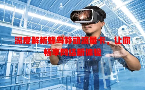 深度解析蜂鸟移动流量卡，让你畅享网络新体验