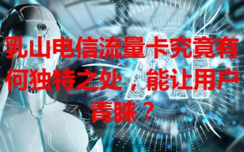 乳山电信流量卡究竟有何独特之处，能让用户青睐？