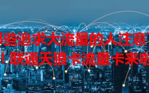 那些追求大流量的人注意了！联通天狼卡流量卡来啦