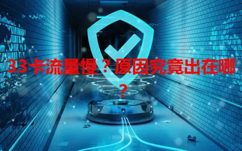 33卡流量慢？原因究竟出在哪？