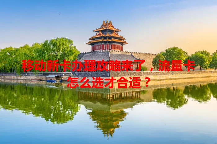 移动新卡办理攻略来了,流量卡怎么选才合适?
