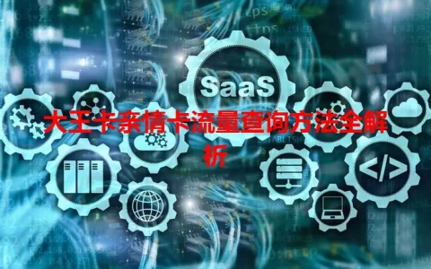 大王卡亲情卡流量查询方法全解析