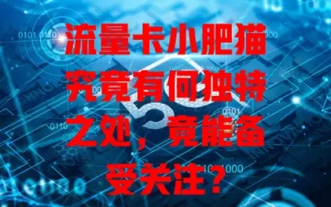 流量卡小肥猫究竟有何独特之处，竟能备受关注？