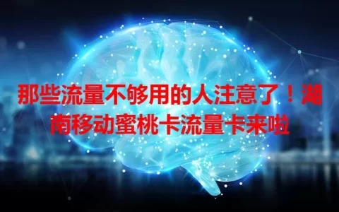那些流量不够用的人注意了！湖南移动蜜桃卡流量卡来啦