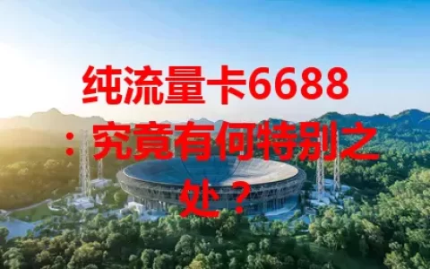 纯流量卡6688：究竟有何特别之处？