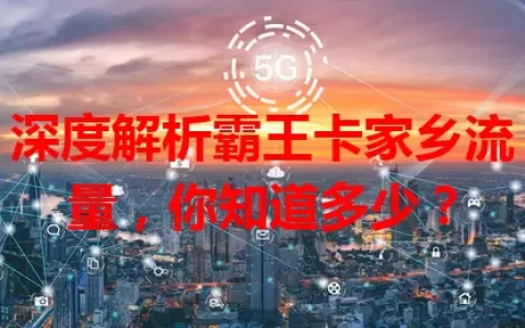 深度解析霸王卡家乡流量，你知道多少？