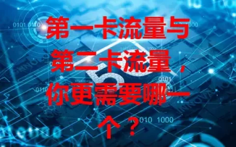 第一卡流量与第二卡流量，你更需要哪一个？