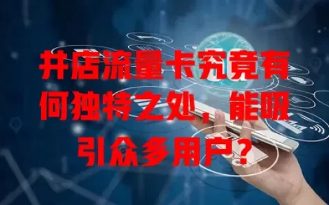 井店流量卡究竟有何独特之处，能吸引众多用户？