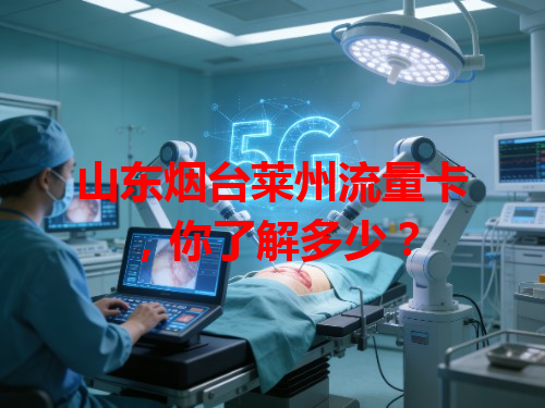 山东烟台莱州流量卡，你了解多少？