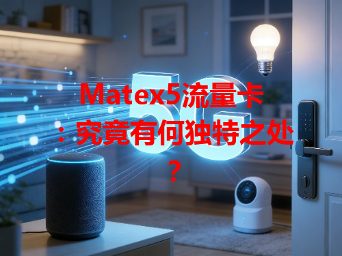 Matex5流量卡：究竟有何独特之处？