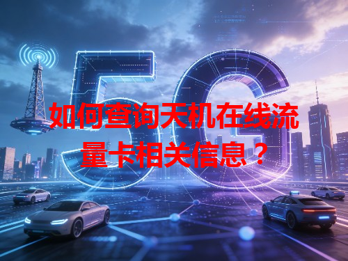 如何查询天机在线流量卡相关信息？
